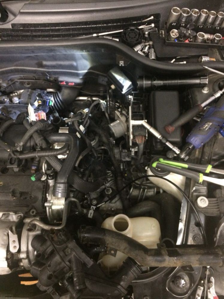 Engine bay service at a Thunderbolt address near Savannah